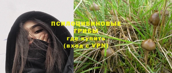 ECSTASY Михайловка
