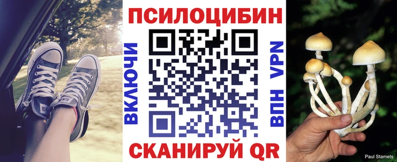 Псилоцибиновые грибы Psilocybine cubensis  где можно купить   Оленегорск 